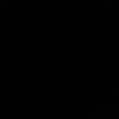 2025年最新】バタフライブルームの人気アイテム - メルカリ