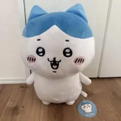 Item thumbnail for item db1e988a-18be-4397-90ab-c811c839def8