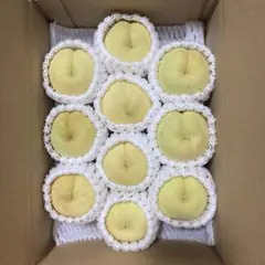 岡山産　白桃　冬桃　10玉