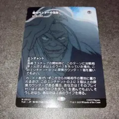血のベンダーの覚醒/血の長の昇天　ボーダーレスnon foil 1枚　MTG