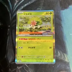 ポケモンカード シェイミ CL プロモ チャンピオンシップ 2026 参加賞