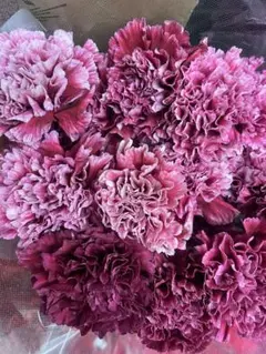 pa〇〇c〇〇〇〇…様専用ページ