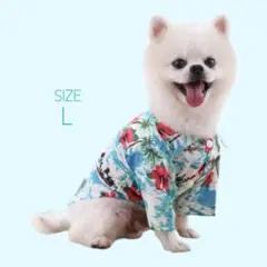 Item thumbnail for item 676e41d4-973a-455b-921c-859e61d5c26c