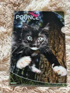 Item thumbnail for item 42c30bf1-0d06-4e21-9a95-25f80da6356d