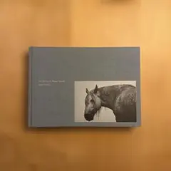 美品 スーザン・ハント・ウォルコッツ「EARLY SPRING」銅版画 サイン入