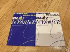 スキズ levanter アルバム CD 中表紙 ヒョンジン トレカ セット - メルカリ