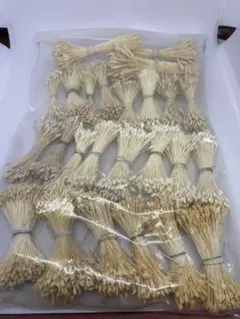 Item thumbnail for item c1344c71-ff91-4005-b9b9-a28ae2050ba5