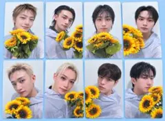 straykids スキズ トレカ 名古屋 9/6 会場特典 8枚 コンプ