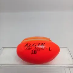 Item thumbnail for item 12e10b4b-da20-4402-a354-17c84f7475a1