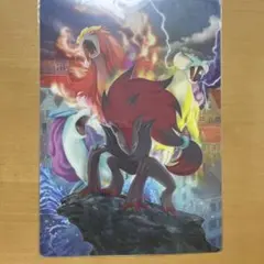 ポケモンカード ハーフデッキケース 幻影の覇ゾロアーク スイクン ライコウ ポケモンカード ハーフデッキケース 幻影の覇ゾロアーク