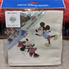 東京ディズニーリゾート ウォッシュタオル