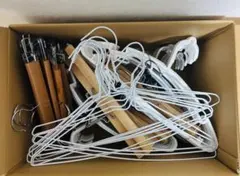 Item thumbnail for item 887d3101-8ac1-416a-97b6-61b14201b1a3