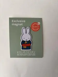 2025年最新】オランダ限定ミッフィーグッズの人気アイテム - メルカリ