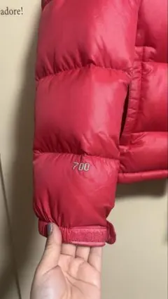 THE NORTH FACE 700フィルダウンジャケット レッド