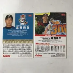 【プロ野球チップスカード　北海道日本ハムファイターズ（10枚）】