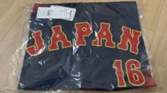 WBC ワールドベースボールクラシック2026 大谷翔平 ビジター