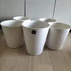 植木鉢　胡蝶蘭鉢　5鉢セット