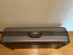 Item thumbnail for item f3c7d29e-a600-4d01-bae7-88a19119300d