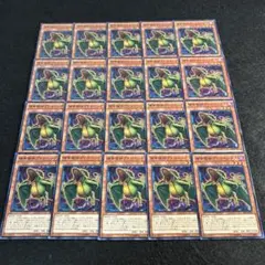 a2375【遊戯王】捕食植物プテロペンテス　20枚セット