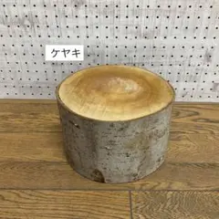 Item thumbnail for item 8b7f1c09-7726-4897-8a8f-5b95fb792968