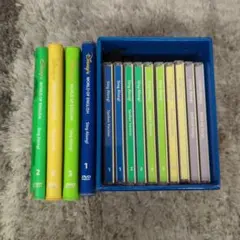 Disney's World of English Sing Along!