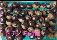 トチノミ 60個 セット