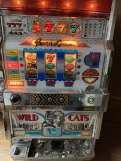 ワイルドキャッツ　パチスロ sddefault.jpg