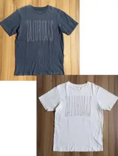 saturdays Tシャツ