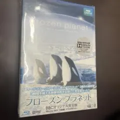 Item thumbnail for item 42f37a26-d330-4ec6-8fbb-68f9f03013d4