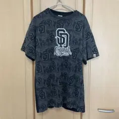 Dyse One USA製 サンディエゴ ロゴ Tシャツ 半袖 黒 グレー