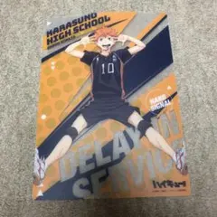 匿名・24時間以内発送】ハイキュー!! 烏野高校 クリアアートボード　日向翔陽