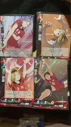 ハイキュー バボカ音駒 24枚セット