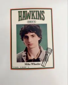 ストレンジャーシングス　ポテトスナック　ステッカー　シール　マイク