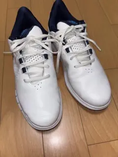 2026年最新】UNDER ARMOUR ゴルフ シューズ(男性用)の人気アイテム