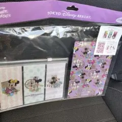 東京ディズニーリゾート クリアファイル 2枚セット