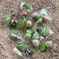 フロッグスタイル　vol.6 全12種