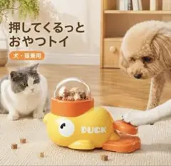 犬猫　知育玩具　おやつデイズペンダー　アヒル型　箱ありのサムネイル