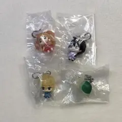 きらりんレボリューション めじるしアクセサリー 月島きらり 風真 日渡 カメさん