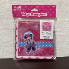 ディズニーランド ミニーのファンダーランド ミニー パルパルーザ ミニタオル