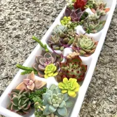 まる様 リクエスト 4点 まとめ商品