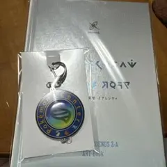 ポケモンza 特典 キーホルダー