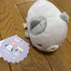 ぬいぐるみ　ポクシン みーこ ねこ マスコット りぶはあと