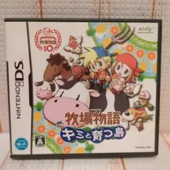 牧場物語 キミと育つ島　DS
