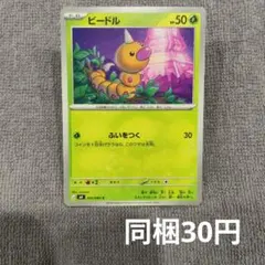【在庫17】ビードルまとめ買いのサムネイル