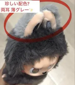 labubu シークレット　正規品　値下げ交渉⭕️ ラブブ シークレットのおすすめ人気商品一覧 通販 - Yahoo