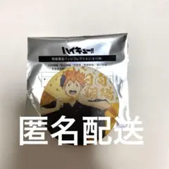 ハイキュー‼︎ 和紙風缶バッジコレクション　日向翔陽