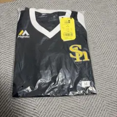 Item thumbnail for item e307d55d-f21f-4a5a-b6e0-8c668851b2f6