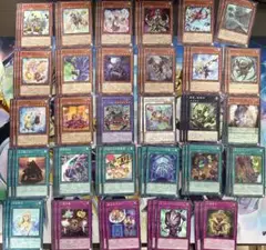 WPP6 ノーマル　まとめ売り