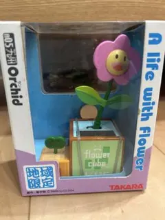 TAKARA A life with Flower Orchid