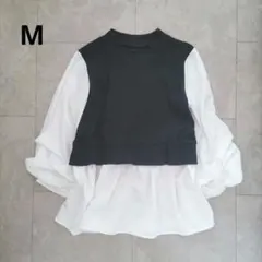 Item thumbnail for item 70c25f5e-1e9b-4bb8-a25f-e5e20e29a447